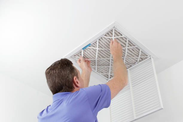 Best Professional Duct Cleaning Services  in Golden Gate, FL